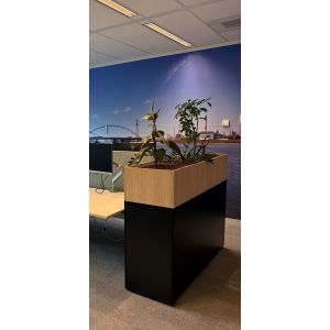 Welltrade plantenbak (plant17)