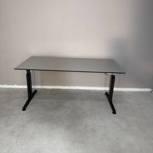 Welltrade elektrisch verstelbaar bureau (bu999)