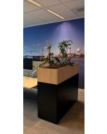 Welltrade plantenbak (plant17)