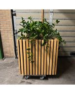 Welltrade plantenbak (plant15)